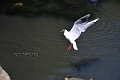 27 05 13_3024_edited-1